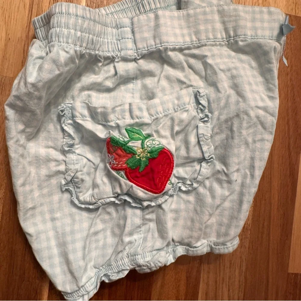 Gymboree Vintage 2006 Strawberry Gingham Shorts‎ Blue White 4T 240258447